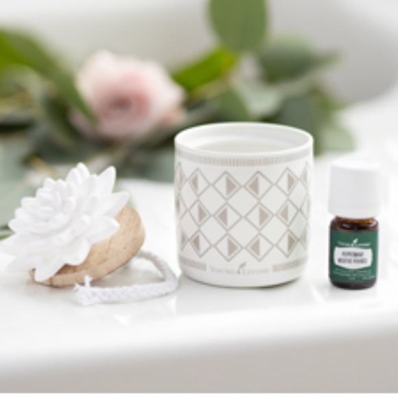 Young Living Succulent Diffuser Calming Refreshing Comfort - Picture 3 of 6